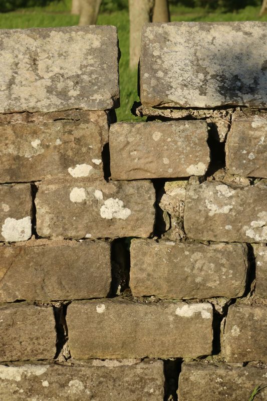 Stone Wall Repair in Jupiter, FL